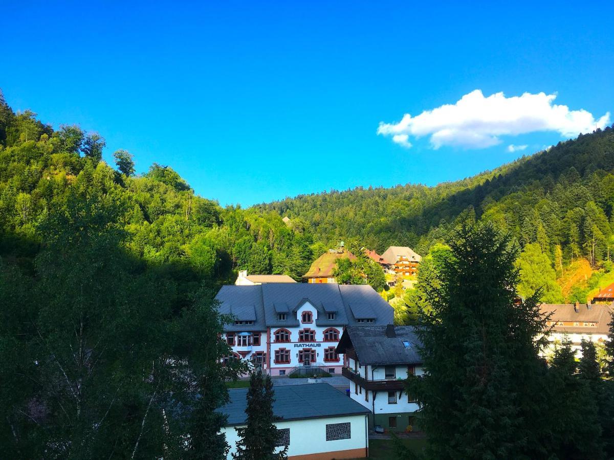 Ferienwohnung Schwarzwald Todtmoos Exteriér fotografie